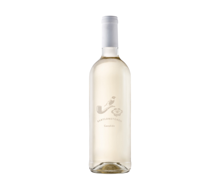 Babylonstoren candide 2022 white blend