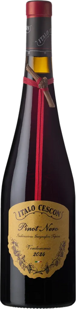 Load image into Gallery viewer, Italo Cesco Pinot Noir 2024
