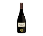 Load image into Gallery viewer, Raka Biography Shiraz 2021