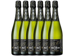 Load image into Gallery viewer, Vallformosa Organic Cava Brut 2021