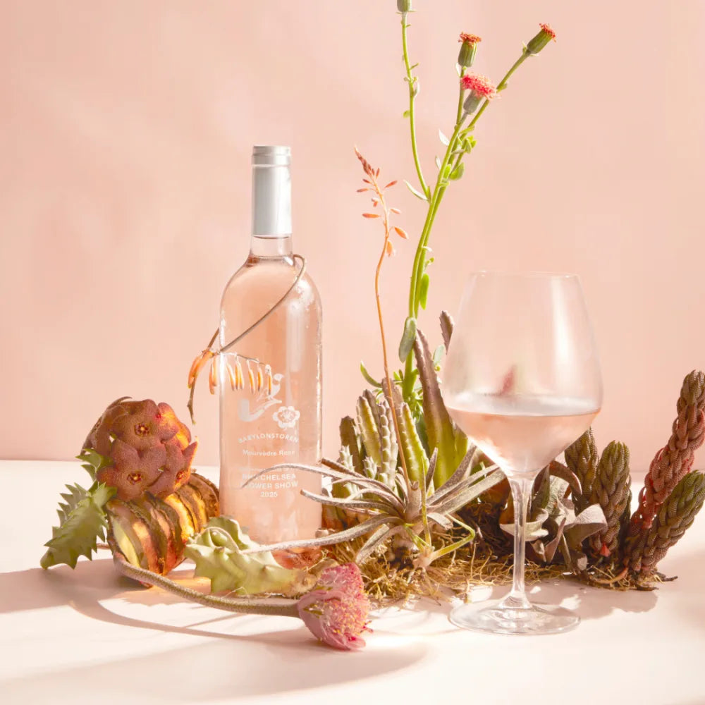 Babylonstoren mourvèdre rosé 2025: a fresh look at the new vintage