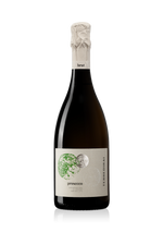 Load image into Gallery viewer, Terre di Rai Prosecco DOC Brut NV
