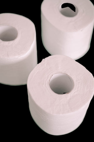 Toilet Tissue - White